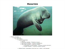 Tablet Screenshot of manatees.net